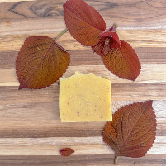 Birch and Ivy co | Pumpkin Oatmeal | Cold Process Soap